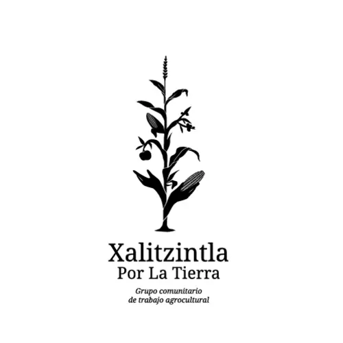 Xalizintla por la Tierra